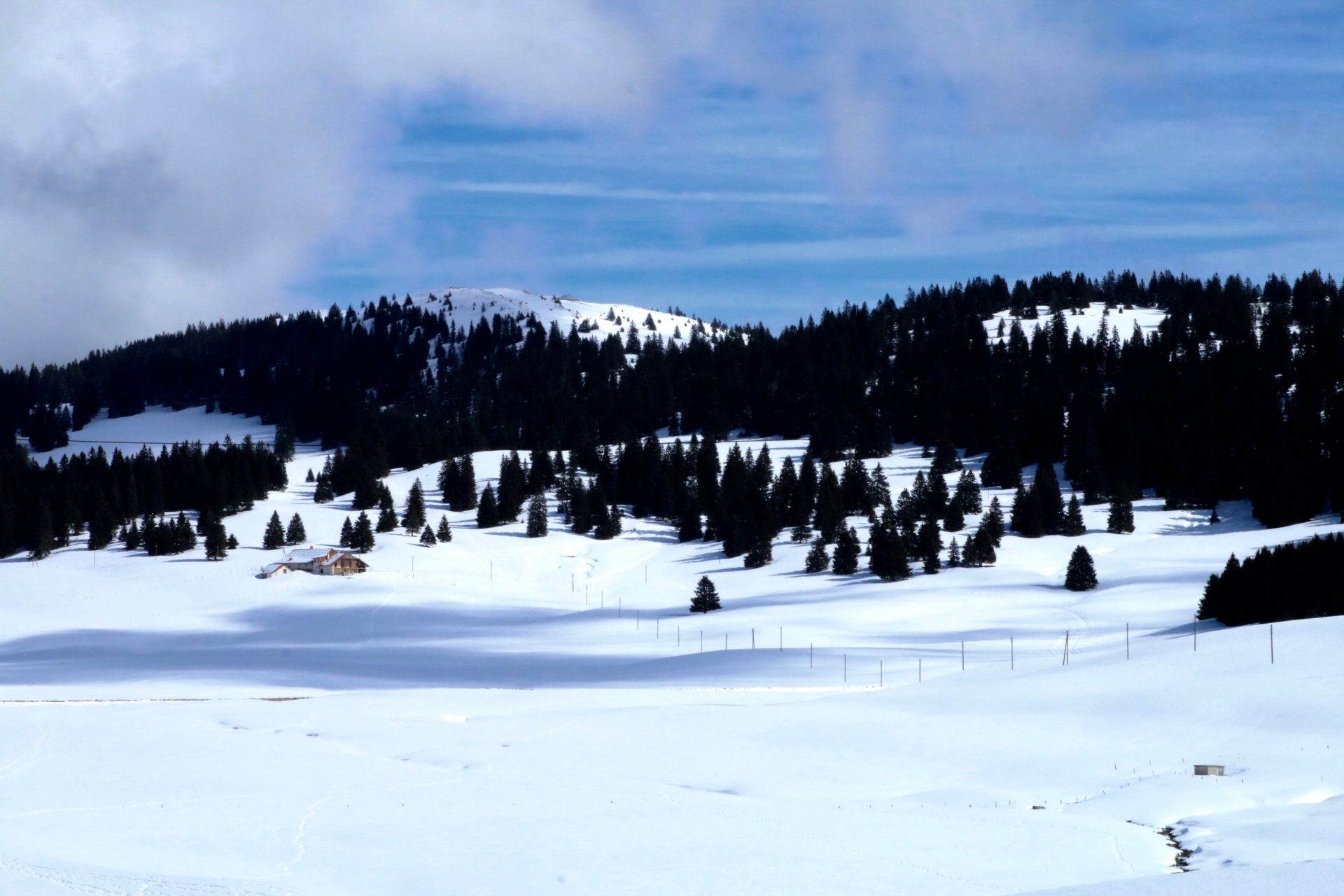 Der Naturpark Jura vaudois bei St. George im Winter