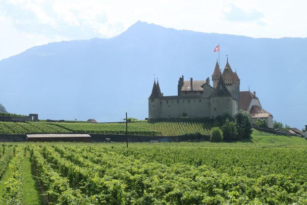 À droite le Château d’Aigle, au premier plan de nombreux vignobles et en arrière-plan les montagnes